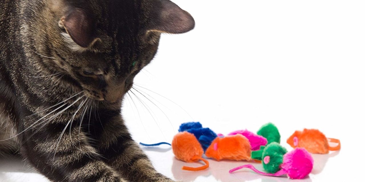 10 Best Cat Toys To Keep Your Kitties Entertained