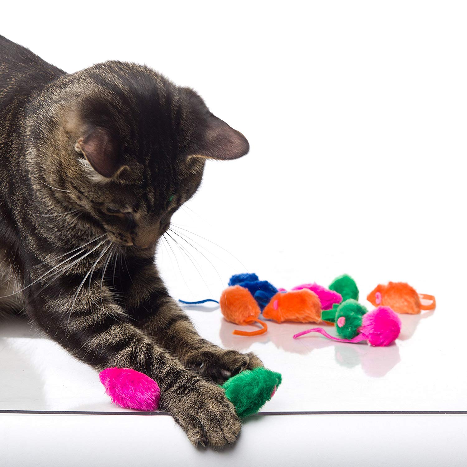 10 Best Cat Toys To Keep Your Kitties Entertained | Too Cute To Bear