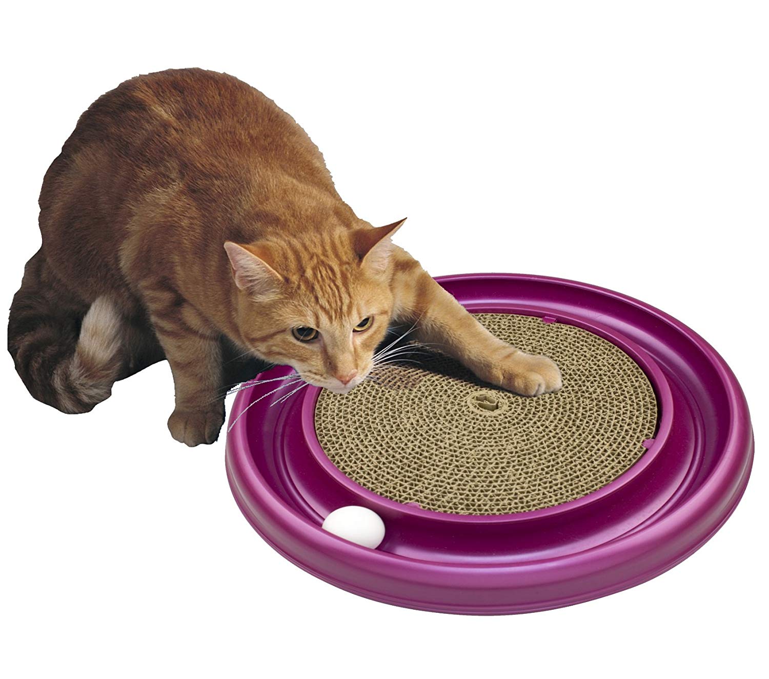 10 Best Cat Toys To Keep Your Kitties Entertained Too Cute To Bear