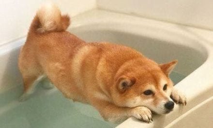 He does not want take bath