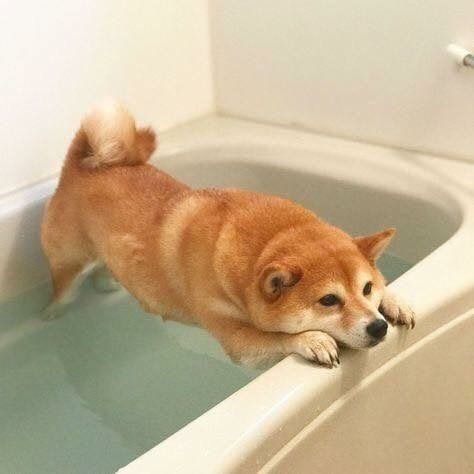 He does not want take bath