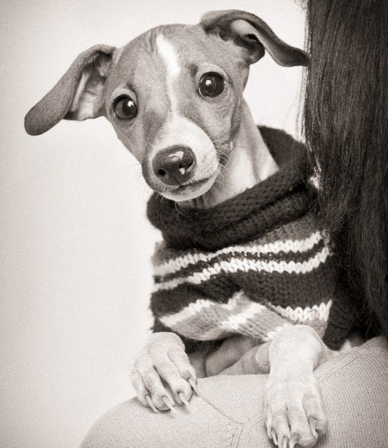 Sweater Weather