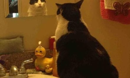 First time he saw himself in a mirror