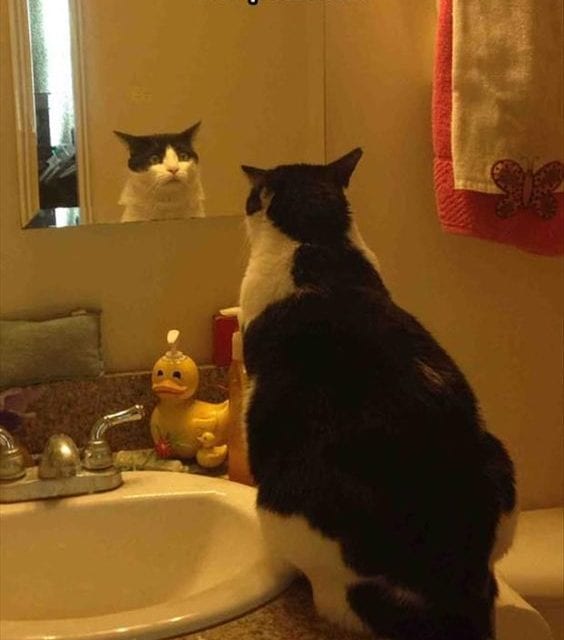 First time he saw himself in a mirror
