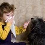8 Best Air Purifiers for Pet Owner