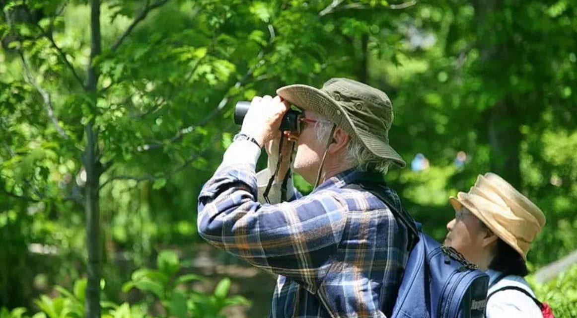 Essential Birdwatching Gears and Equipment