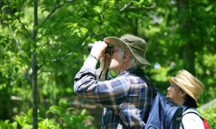 Essential Birdwatching Gears and Equipment