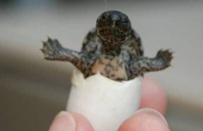 Hello world
