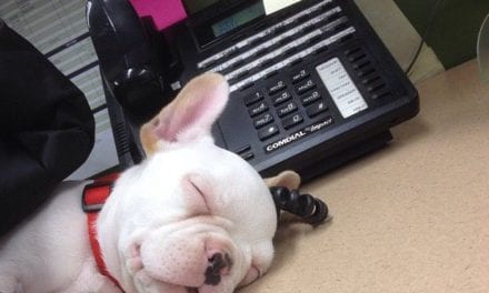 Work is exhausting