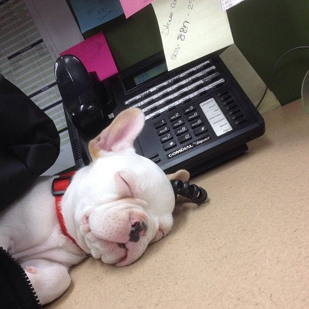 Work is exhausting