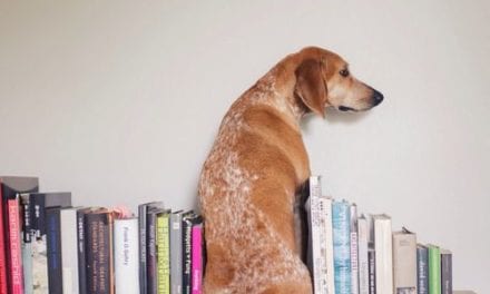 Dog book stand