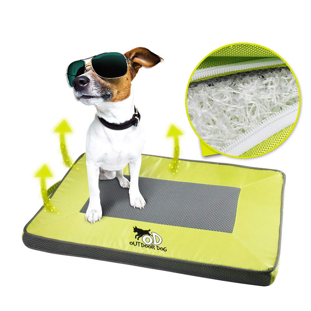 best cooling mat for dogs 2021
