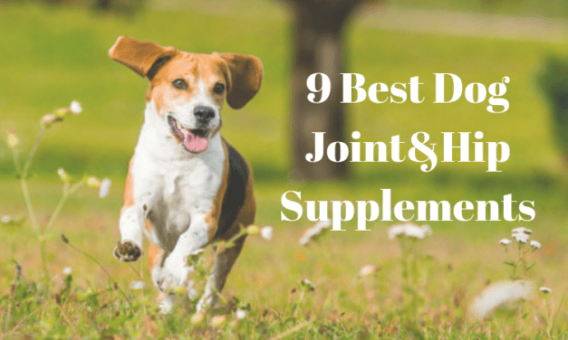 9 Best Dog Joint&Hip Supplements