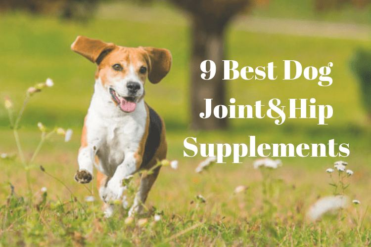 9 Best Dog Joint&Hip Supplements