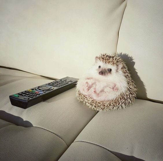 Movie Night