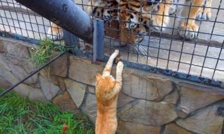 Hang on bro, I am gonna get you out!