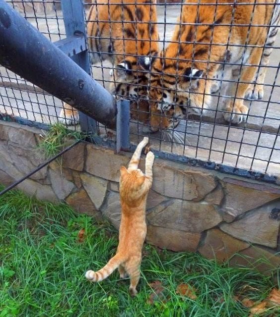 Hang on bro, I am gonna get you out!