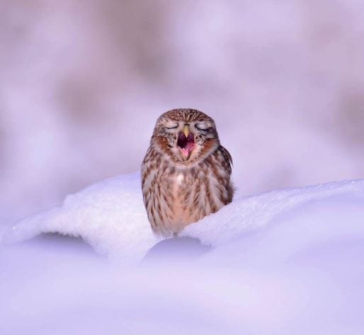 Big Yawn!⁠