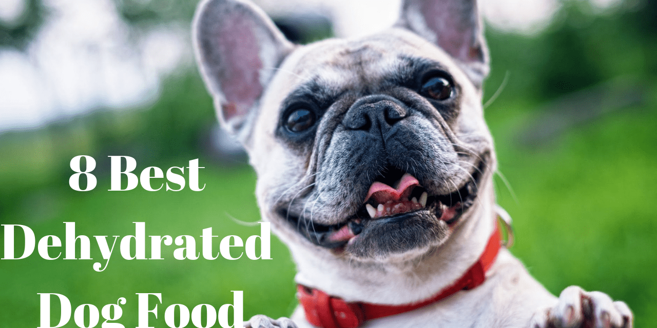 8 Best Dehydrated Dog Food in 2023