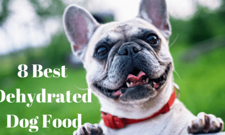 8 Best Dehydrated Dog Food in 2022