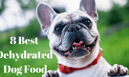 8 Best Dehydrated Dog Food in 2023