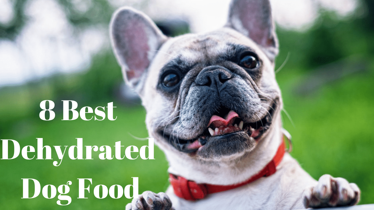 Best dehydrated dog clearance food 2019