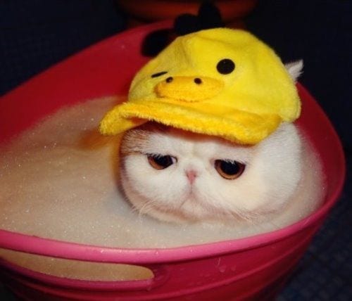 Not Happy :(
