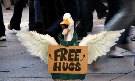 Wanna free hug?