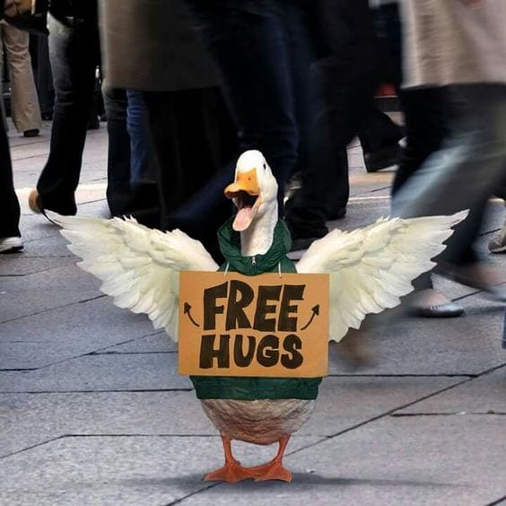 Wanna free hug?