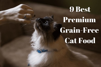 9 Best Premium Grain-Free Cat Food