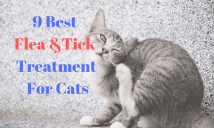 9 Best Flea and Tick Treatment for Cats