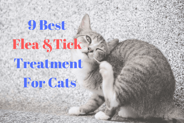 9 Best Flea and Tick Treatment for Cats