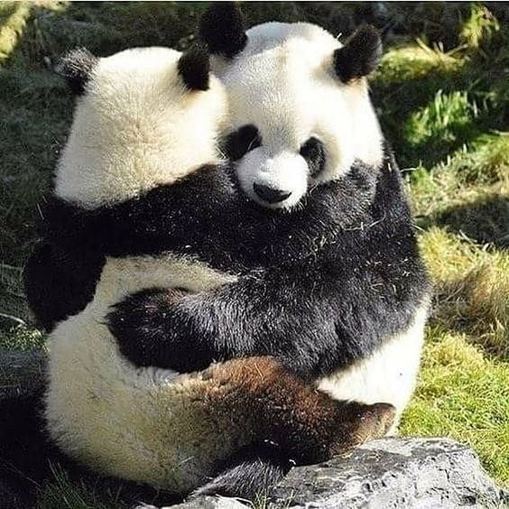 Gimme a big hug!