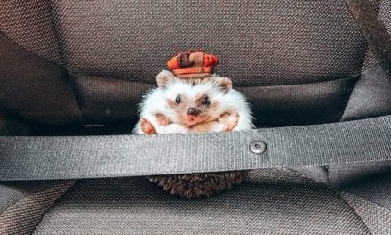 Safety first