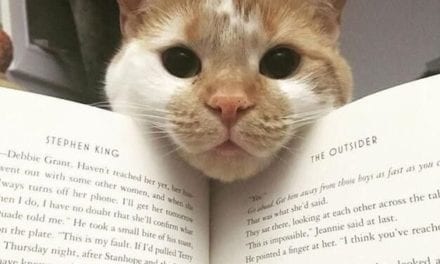 Whacha you reading?