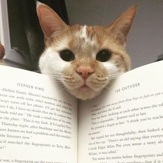 Whacha you reading?