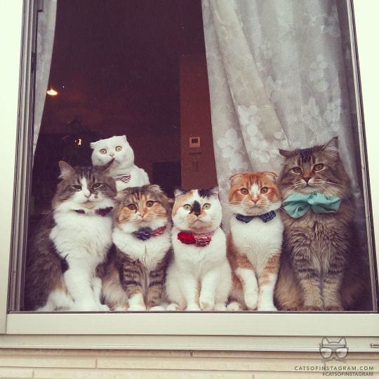 Family Photo