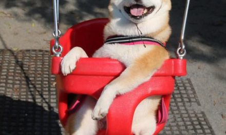 Happy swinging~