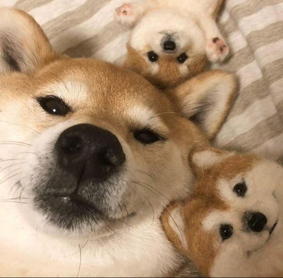 Family Selfie