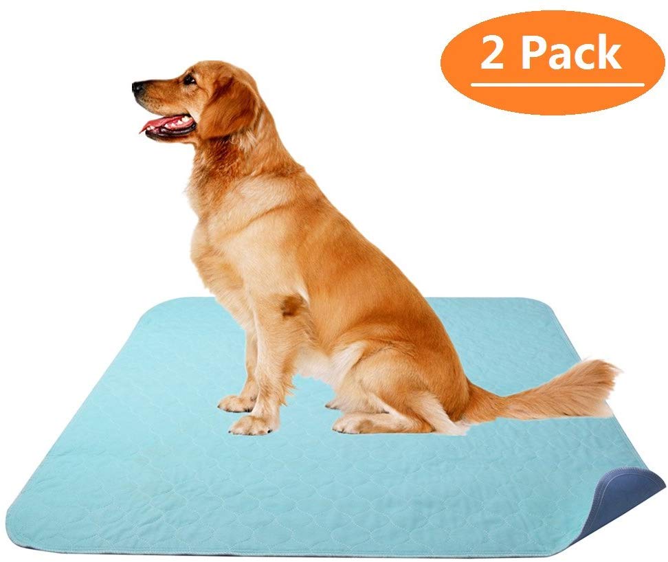 8 Best Washable Dog Pee Pads | Too Cute To Bear