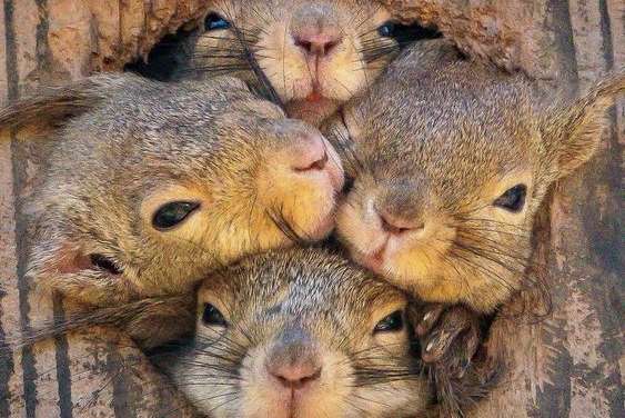 Can you three move over a little bit?