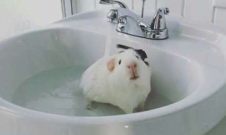 Bath time~