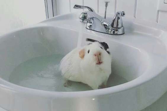 Bath time~