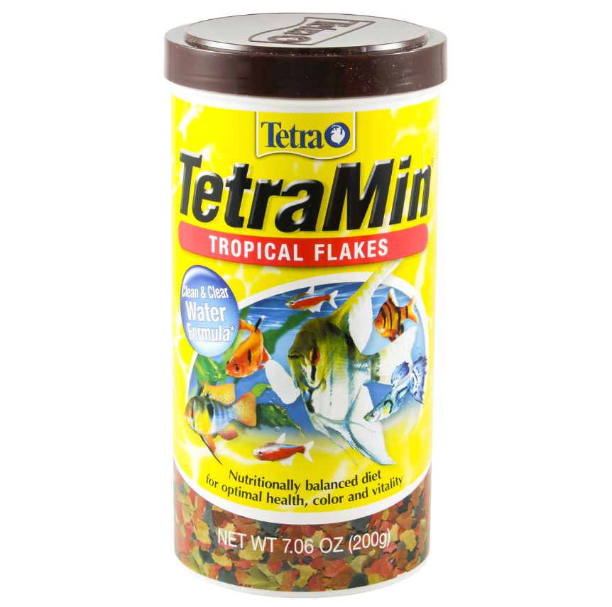 Top 10 Best Tropical Fish Food Too Cute To Bear