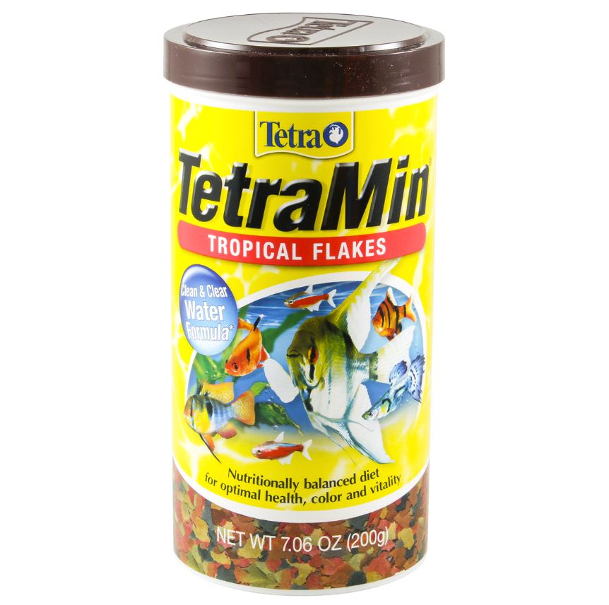 Best Fish Food For Community Tank The preferred tank levels for community fish species