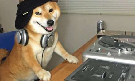 DJ Shiba