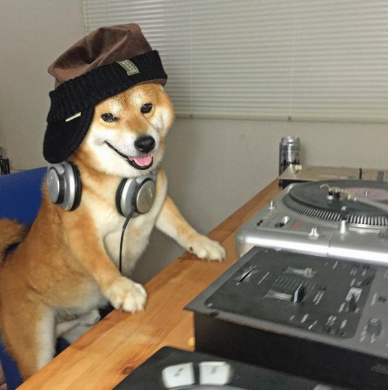 DJ Shiba