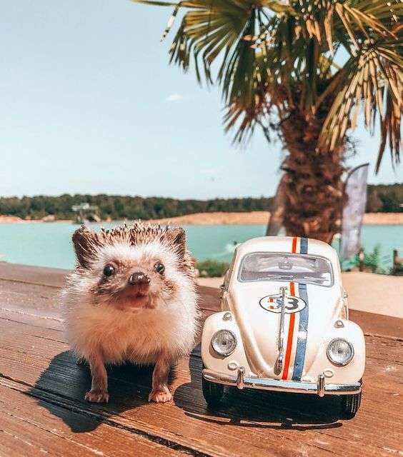 Let’s go for a ride, shall we?