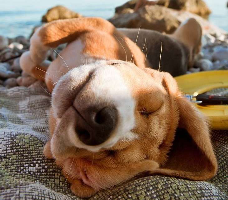 A day at the beach