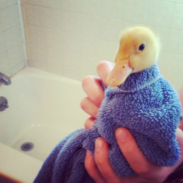 Bath time!